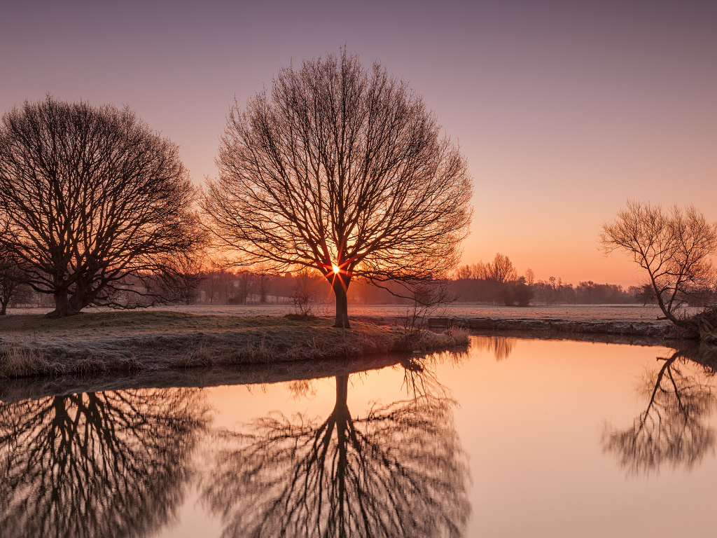  иней, suffolk, озеро, утро, деревья, природа, uk, river stour