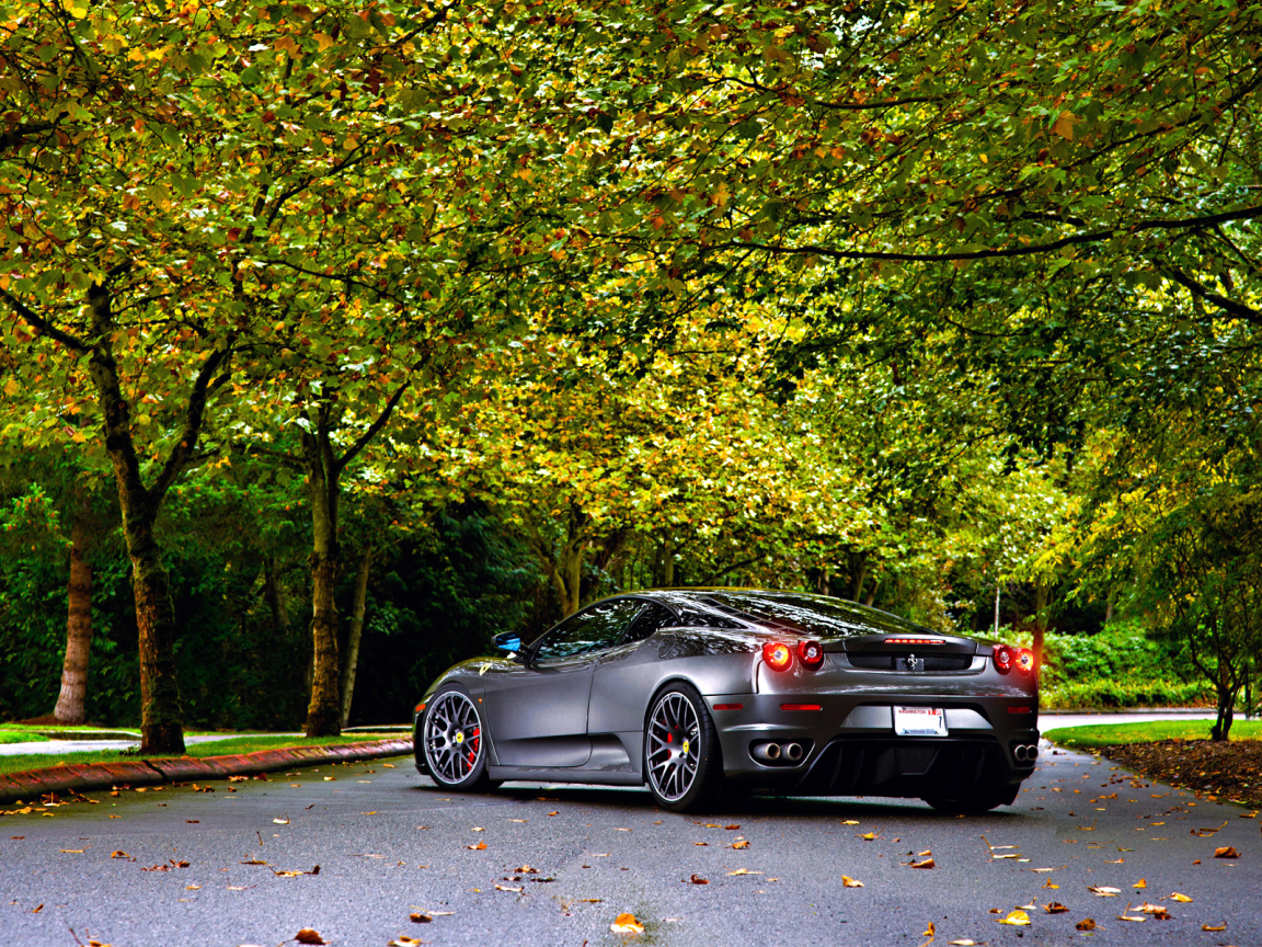 autumn, leaf, ferrari, tuning, 430, asphalt, trees, wheels, green, silver