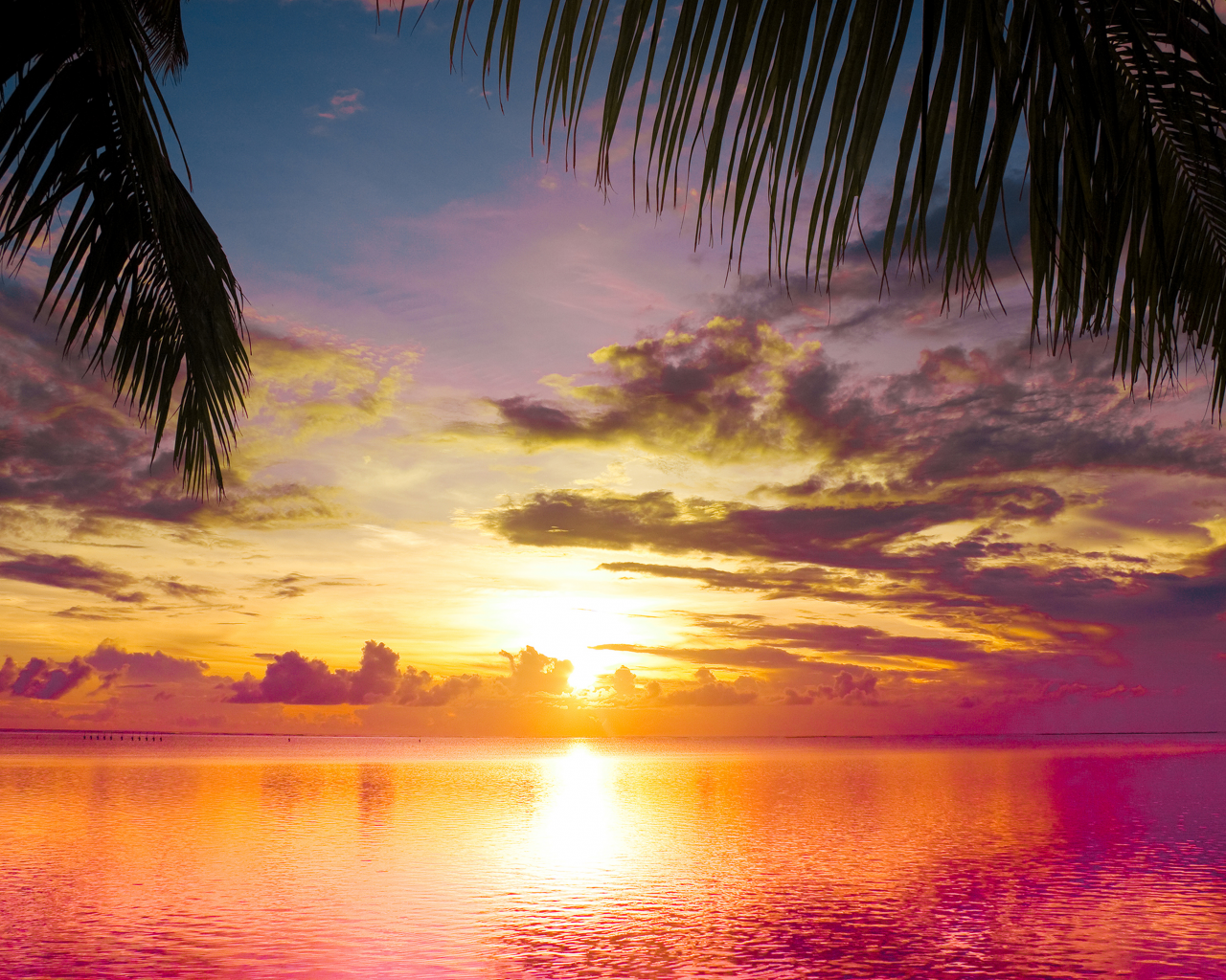 scene, water, landscape, sea, nature, clouds, sunset between palms, sky, beautiful