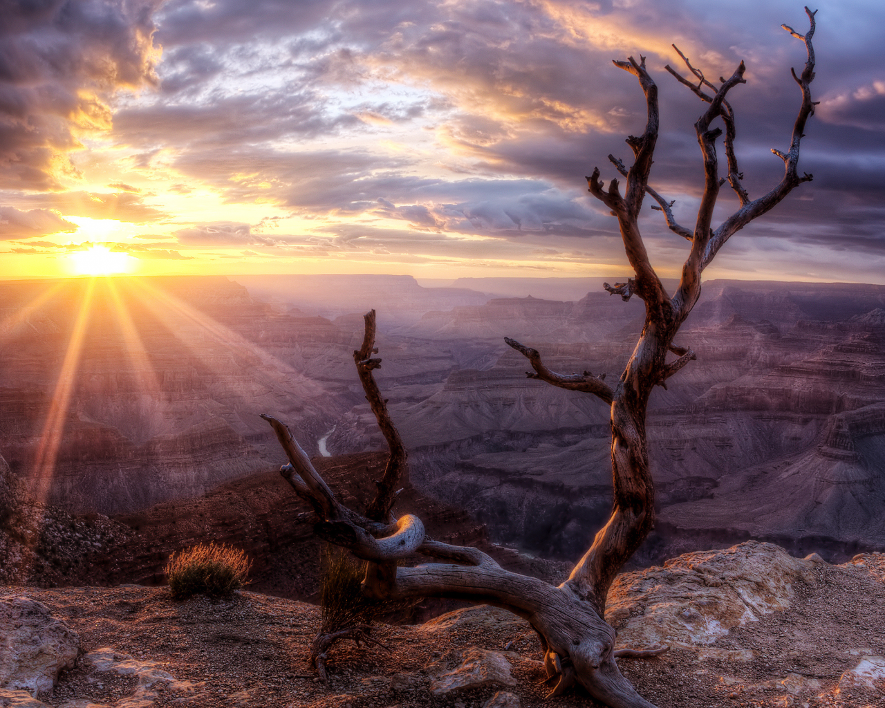 sun, sunset, arizona, valley, wood, rock, grand canyon