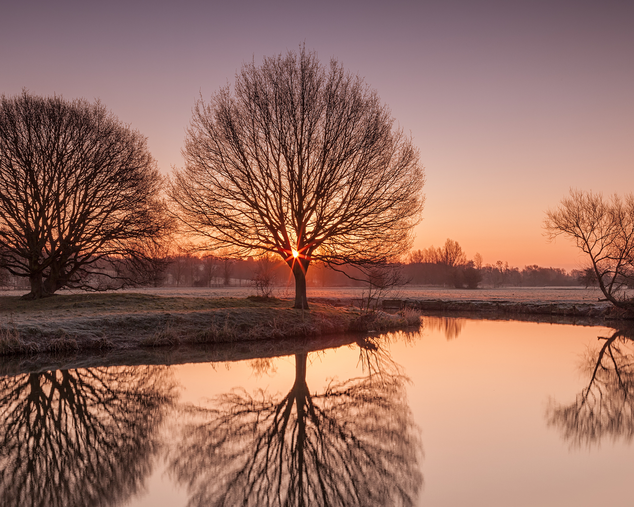  иней, suffolk, озеро, утро, деревья, природа, uk, river stour