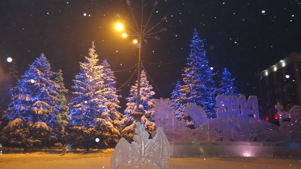 Абакан, Сибирь, новый год, ели, снег