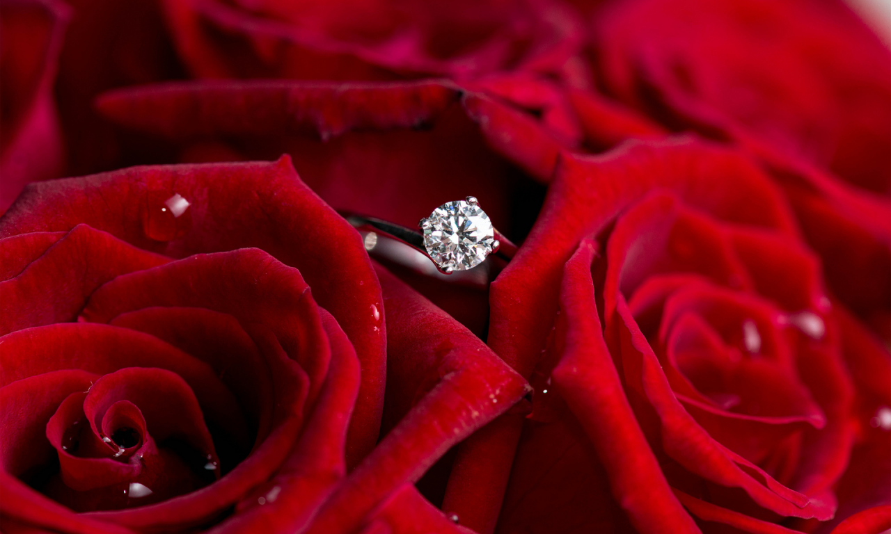 красные, цветы, бриллиант, кольцо, розы