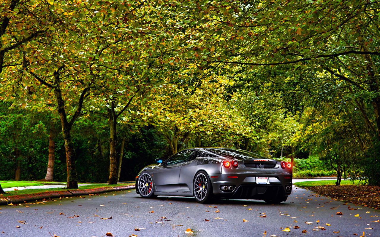 autumn, leaf, ferrari, tuning, 430, asphalt, trees, wheels, green, silver