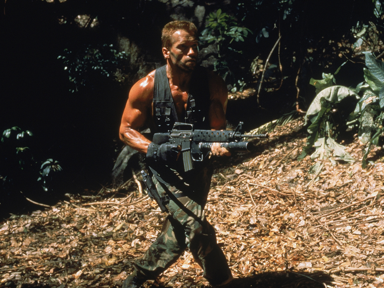 хищник, dutch, арнольд шварценеггер, predator, arnold schwarzenegger