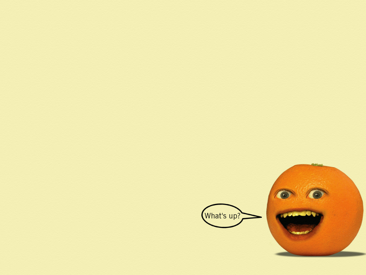 the annoying orange, надоедливый апельсин, взгляд, надпись