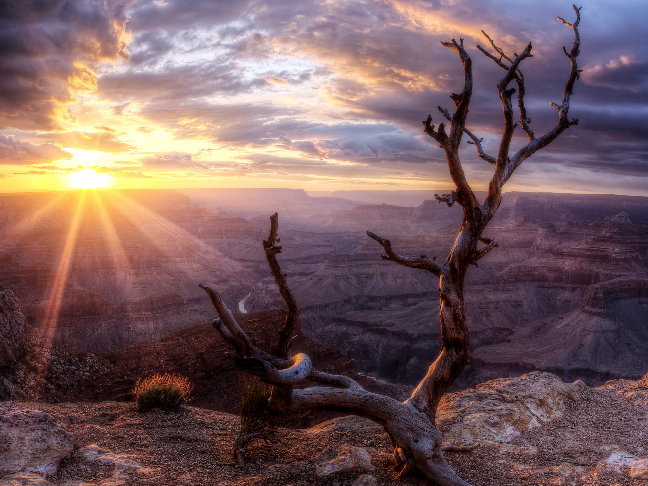 sun, sunset, arizona, valley, wood, rock, grand canyon