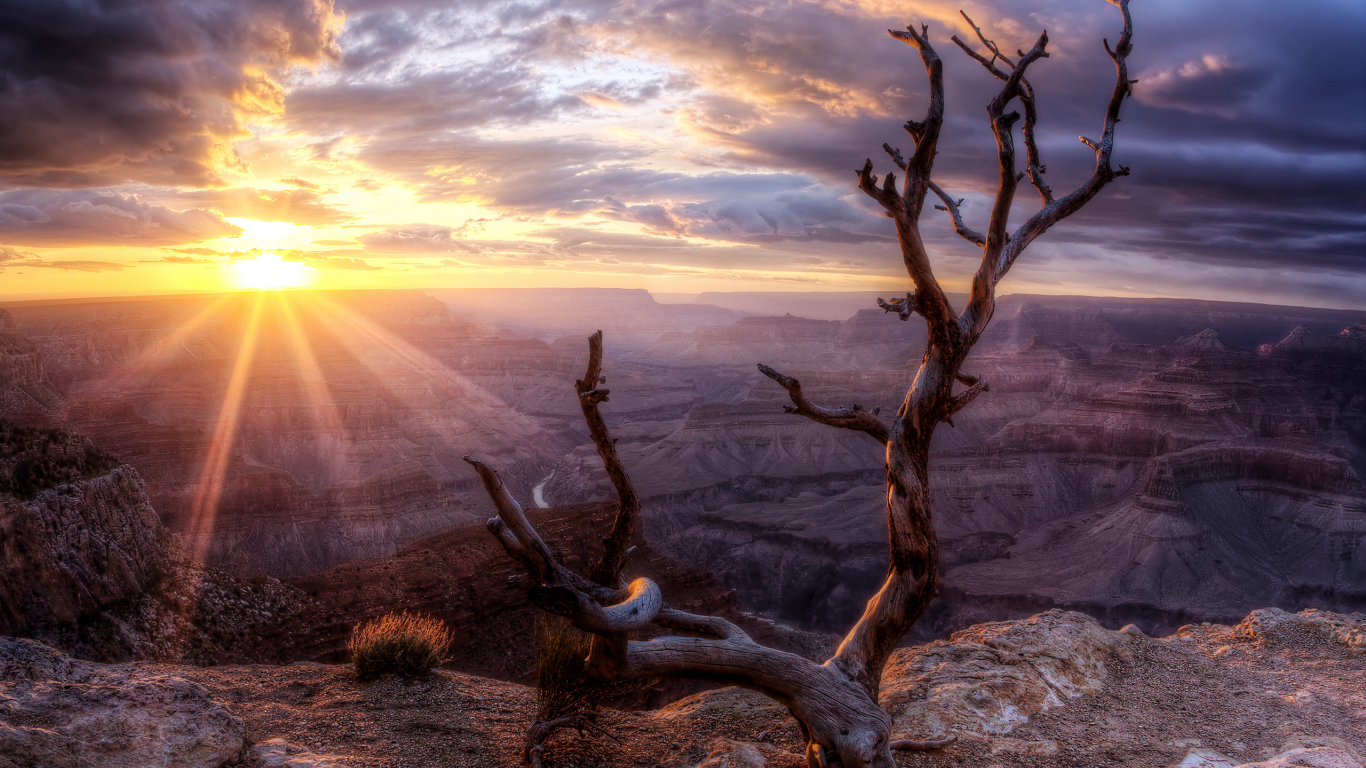 sun, sunset, arizona, valley, wood, rock, grand canyon