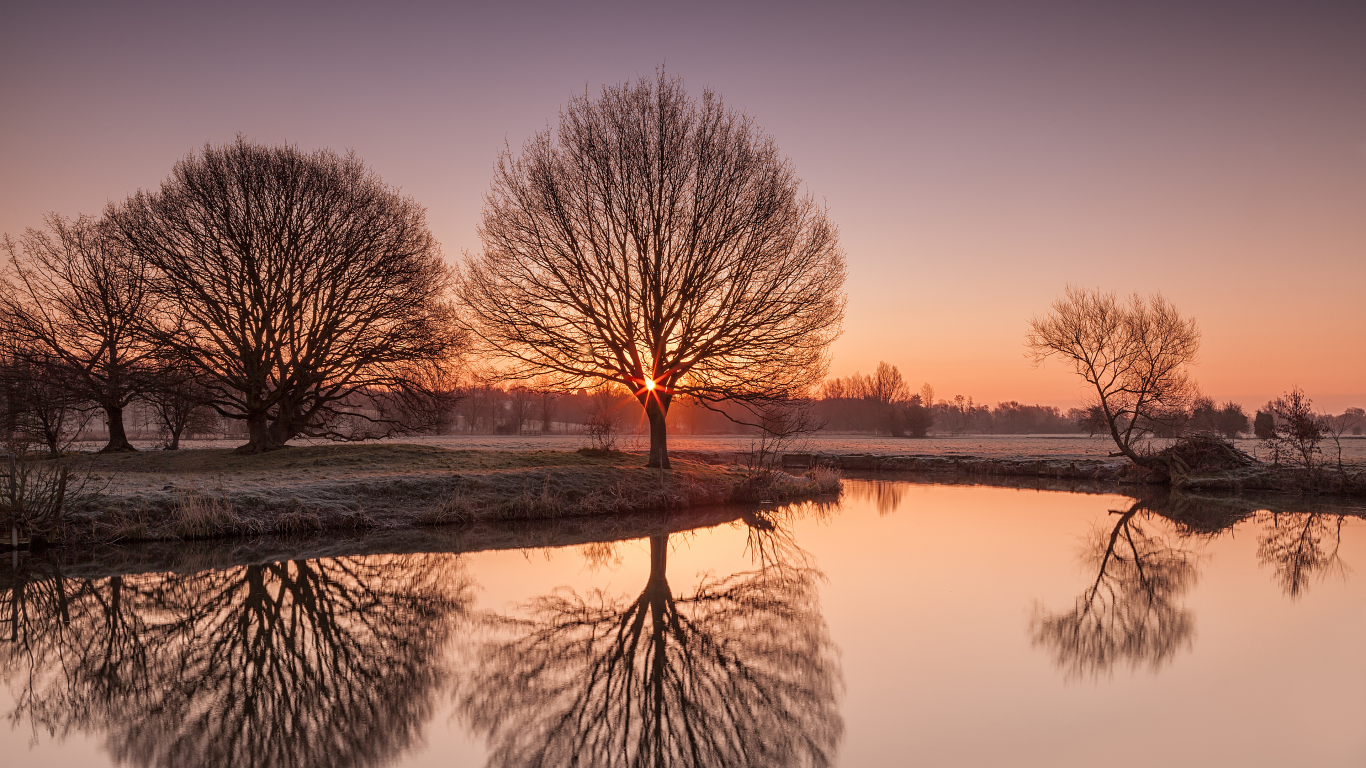  иней, suffolk, озеро, утро, деревья, природа, uk, river stour