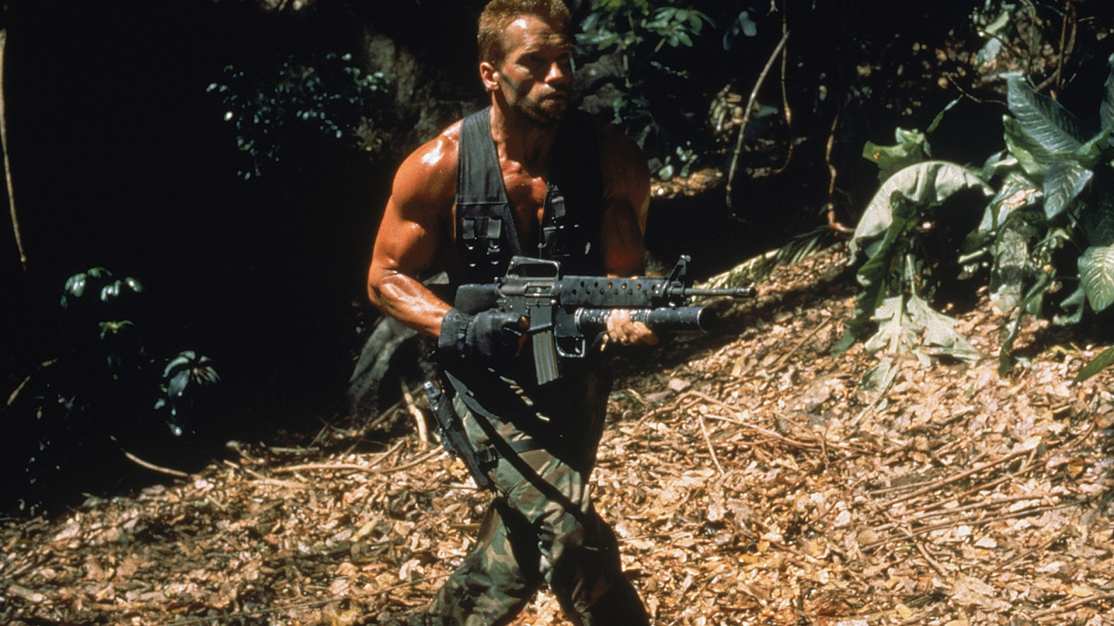 хищник, dutch, арнольд шварценеггер, predator, arnold schwarzenegger