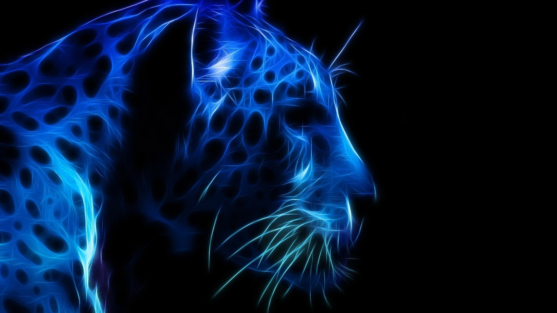 синий цвет, морда, тёмный фон, леопард, профиль