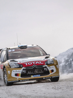 машина, citroen, спорт, ds3, капот, wrc, ралли, авто, rally