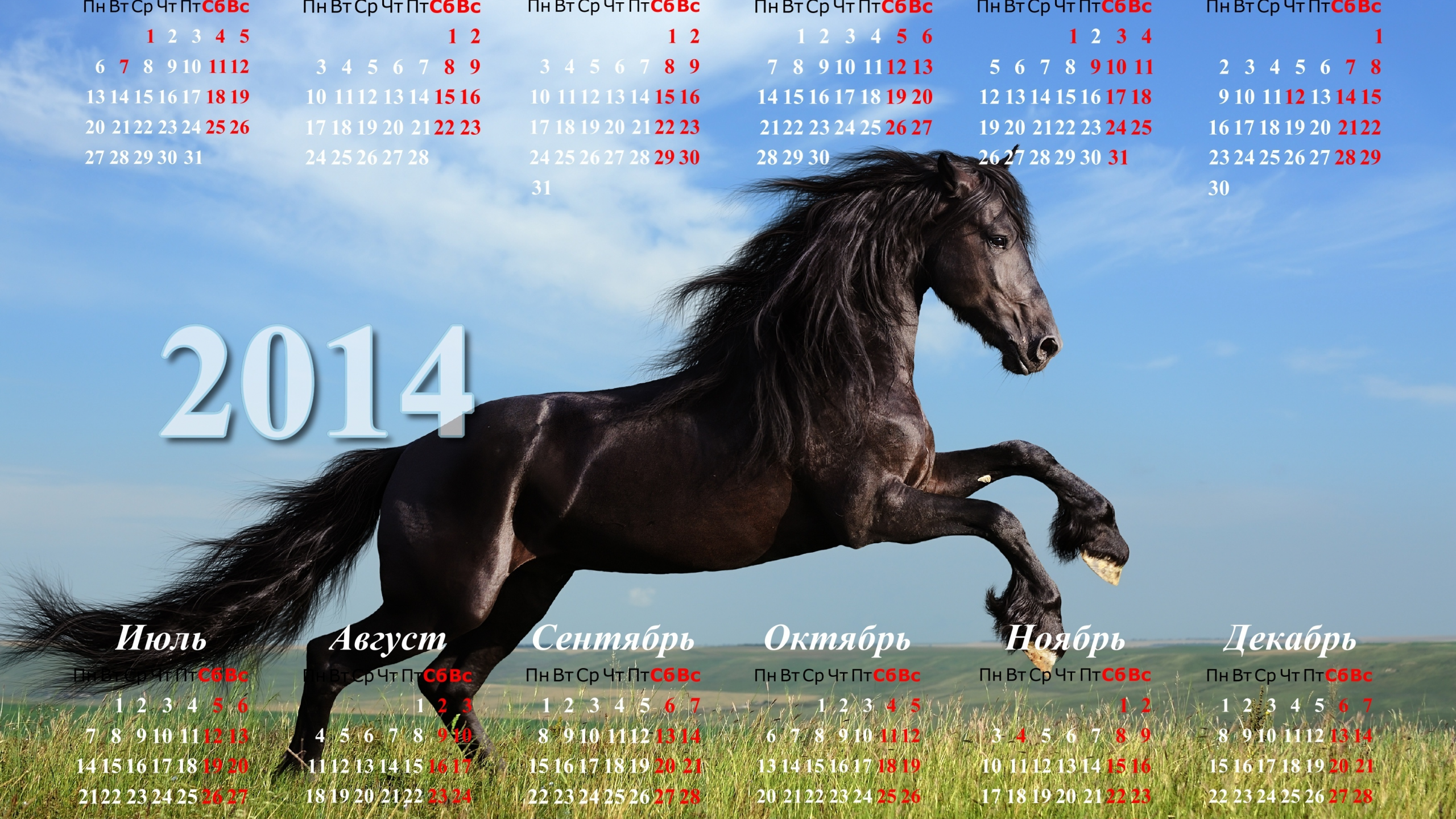 лошадь, 2014, год, подарки, празник, календарь