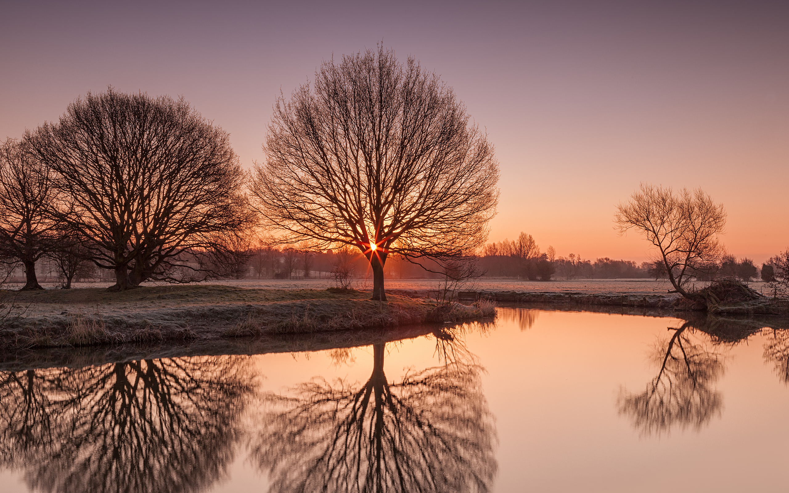  иней, suffolk, озеро, утро, деревья, природа, uk, river stour