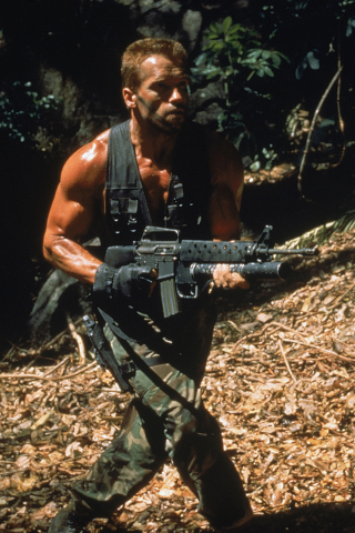 хищник, dutch, арнольд шварценеггер, predator, arnold schwarzenegger