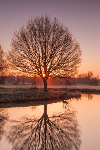  иней, suffolk, озеро, утро, деревья, природа, uk, river stour