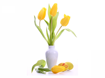 белая, ваза, пасха, яйца, тюльпаны, цветы, желтые