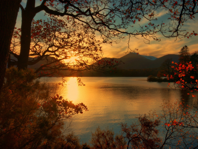 рассвет, озеро, горы, деревья, листья, осень