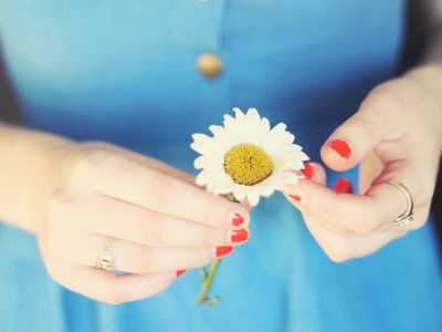девушка, ромашка, фон, цветочек, обои, цветы, руки