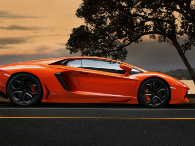 sky, supercar, aventador, tree, orange, lamborghini, ламборгини, lp700-4