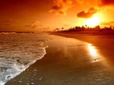 sky, sea, palms, landscape, scene, beach, nature, water, clouds, waves, beautiful, sunrise 