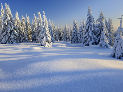 пейзаж, природа, зима, деревья, горы, снег