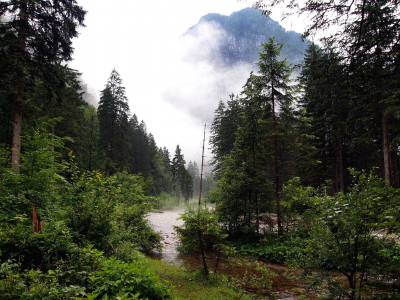 лес, река, туман, ручей, гора