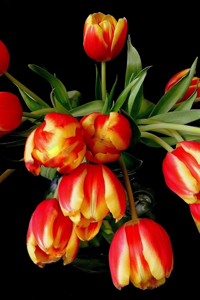 цветы, тюльпаны, желтый, оранжевый, красный, букет