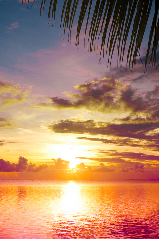 scene, water, landscape, sea, nature, clouds, sunset between palms, sky, beautiful