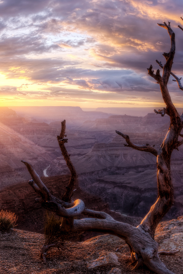 sun, sunset, arizona, valley, wood, rock, grand canyon