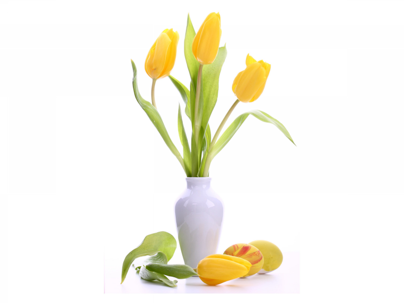 белая, ваза, пасха, яйца, тюльпаны, цветы, желтые