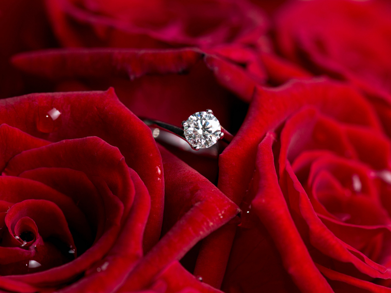 красные, цветы, бриллиант, кольцо, розы