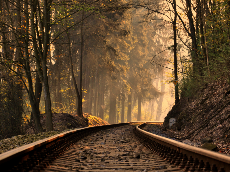 деревья, landscape, природа, rails, nature, slope, пейзаж, trees, рельсы