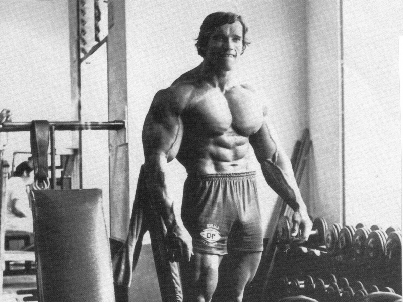 bodybuilding, бодибилдинг, арнольд шварцнеггер, культуризм