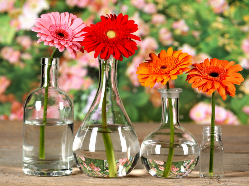 вазочки, бутылка, хризантема, боке, цветы, стол