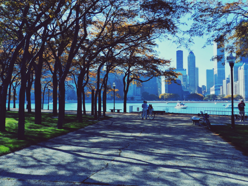 chicago, чикаго, осень, парк, небоскребы, люди