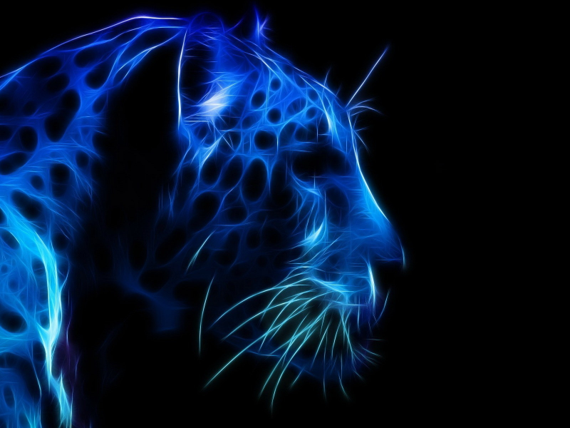 синий цвет, морда, тёмный фон, леопард, профиль