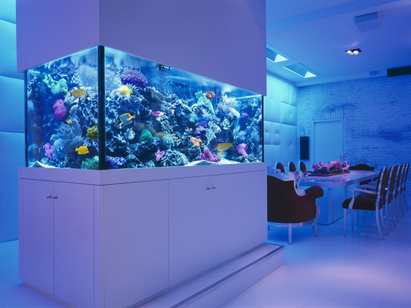 комната, морской, стулья, аквариум, рыбки, interior, стол