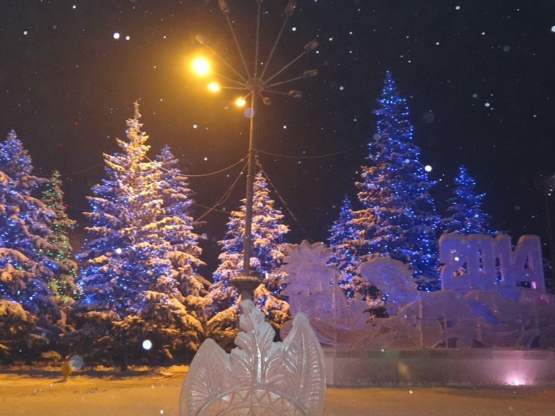 Абакан, Сибирь, новый год, ели, снег