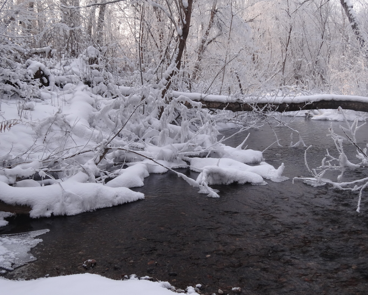 зимняя природа, снег, мороз, река, деревья