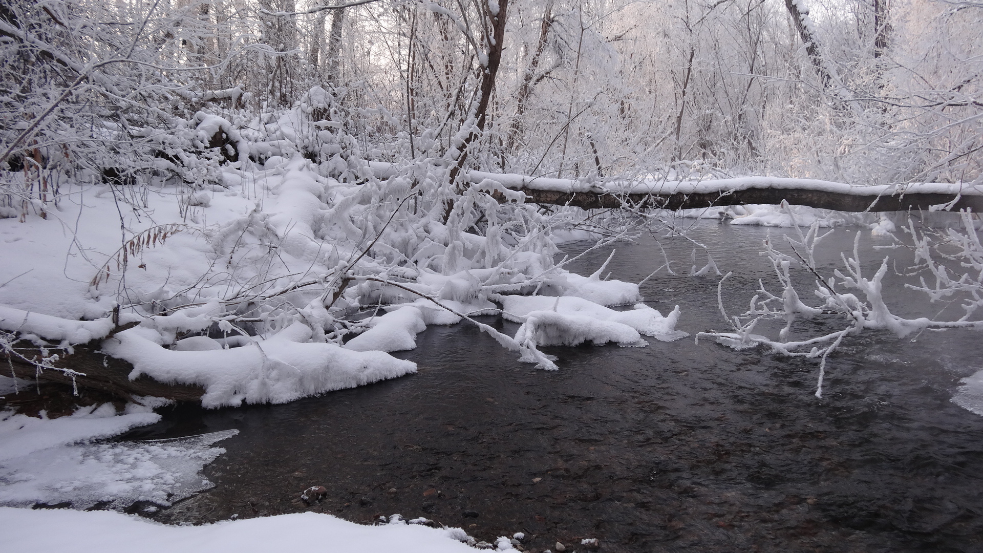 зимняя природа, снег, мороз, река, деревья
