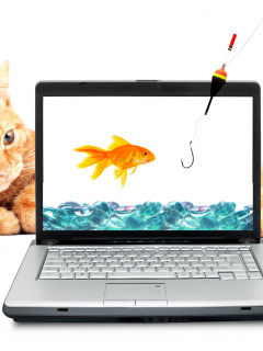 золотая рыбка, кот, рыжий, ноутбук, крючок, вода, удочка
