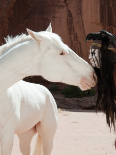 the lone ranger, одинокий рейнджер, johnny depp, tonto, джонни депп