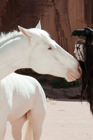 the lone ranger, одинокий рейнджер, johnny depp, tonto, джонни депп