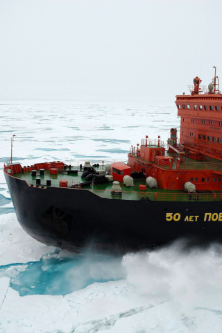 класса арктика, атомный ледокол, 50 лет победы, россия