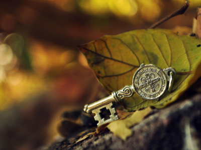 макро, ключ, листья, металл, зеленые, камень