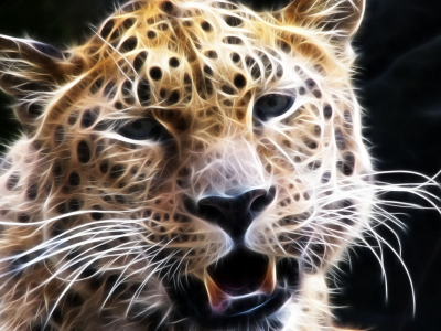 леопард, 3d графика, взгляд, морда, усы