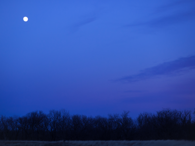 поле, ночь, луна, небо, деревья, облака, синее