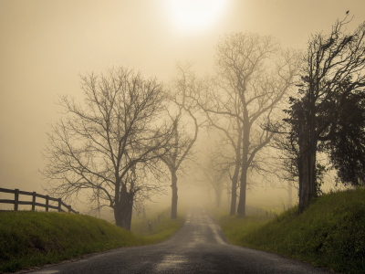 туман, утро, дорога, пейзаж