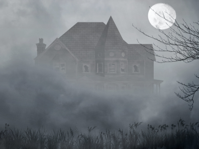  окна, луна, дерево, трава, мрак, туман, дом, разбитые